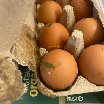 Migros Sanal Marketten Gelen Hasarlı Ürünler Ve Müşteri Hizmetlerine Ulaşılamaması