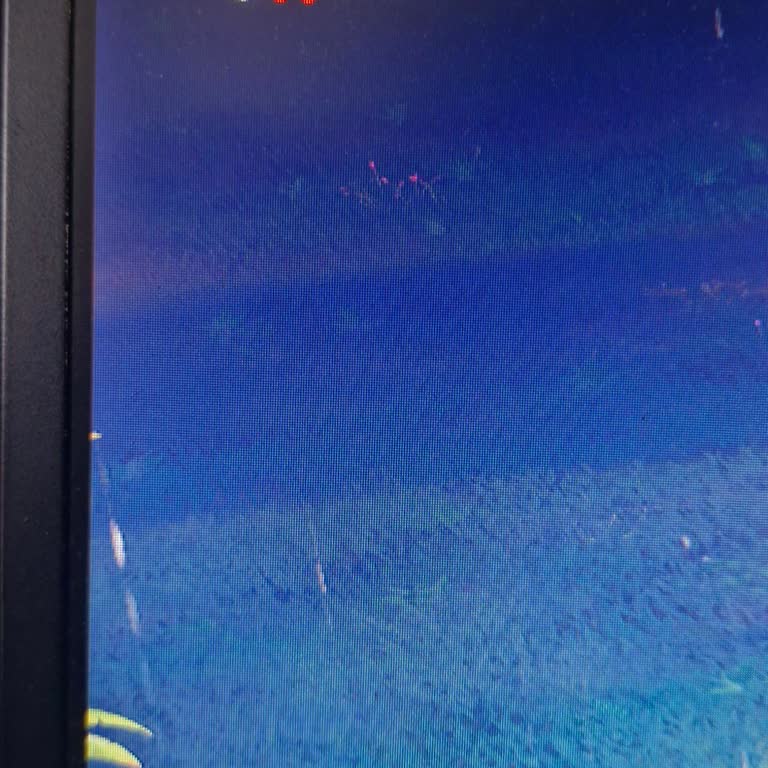 20 Gündür İnternet Yok Çözüm De Yok