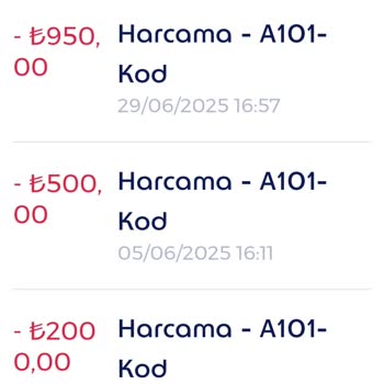 A101 Mağaza Sorumlusu Ödeme Sorunu Ve Onur Kırıcı Davranış