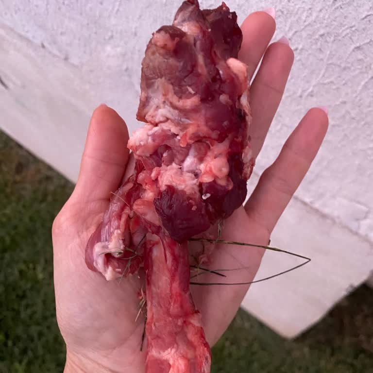 Arif Et Ve Et Ürünleri - Pamuk Kasap Et Demeye Bin Şahit İster