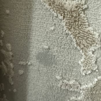 Platinyum Halı Yıkama Temizlikten Eser Yok