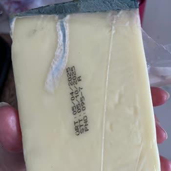 Son Tüketim Tarihi Geçmemiş Kaşar Peynirinin Küflenmesi