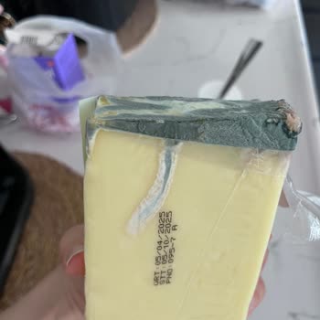 Son Tüketim Tarihi Geçmemiş Kaşar Peynirinin Küflenmesi