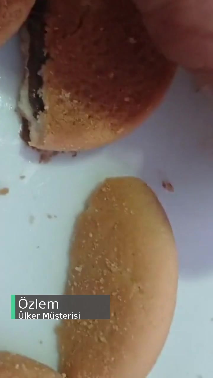 Ülker Biskrem'de Canlı Kurt Çıktı! videonun kapak resmi