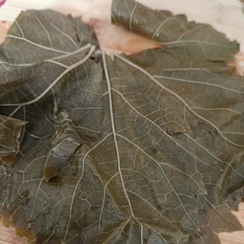 Satın Alınan Salamura Yaprakların Beklentiyi Karşılamaması Ve İletişim Sorunu