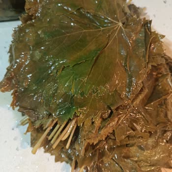 Satın Alınan Salamura Yaprakların Beklentiyi Karşılamaması Ve İletişim Sorunu