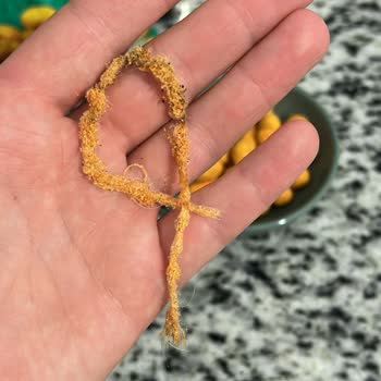 Kuruyemiş Paketinden Yabancı Madde Çıkmasıyla Büyük Hayal Kırıklığı Yaşadım