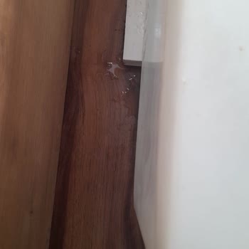 Kurt Karavan Aldığım Karavanın Düşük Kalitesi Ve Ciddi Sorunları Hayal Kırıklığı Yarattı