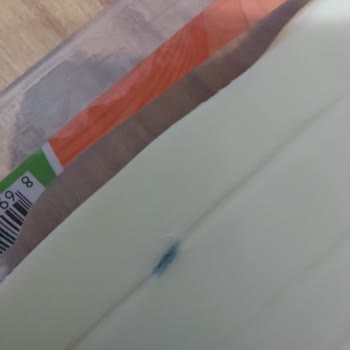 Hamilelikte Aldığım Dil Peynirinde Küf Çıkması Güvenimi Sarstı