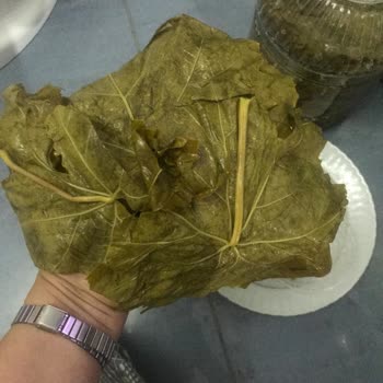 Fatma'nın Bahçesi Görsellerle Aldatılan Müşteriler ve Ciddiyetsiz Şikayet Süreci