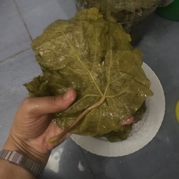 Fatma'nın Bahçesi Görsellerle Aldatılan Müşteriler ve Ciddiyetsiz Şikayet Süreci