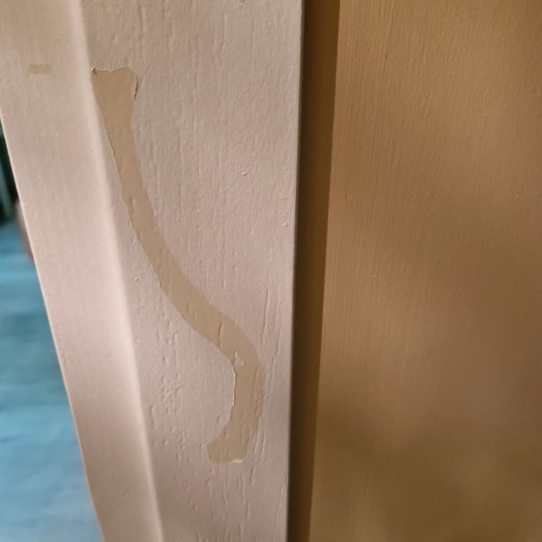 Bianca Panel Kapı Boyası Kısa Sürede Soyuldu ve Kapılar Dalga Dalga Oldu