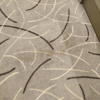 The Conforium Hotel Van Oda Şikayeti