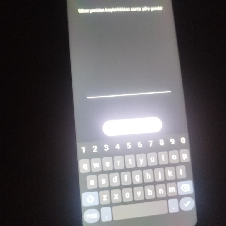 Reeder S19 Max Pro S Şarj Sonrası Format Ekranı Sorunu