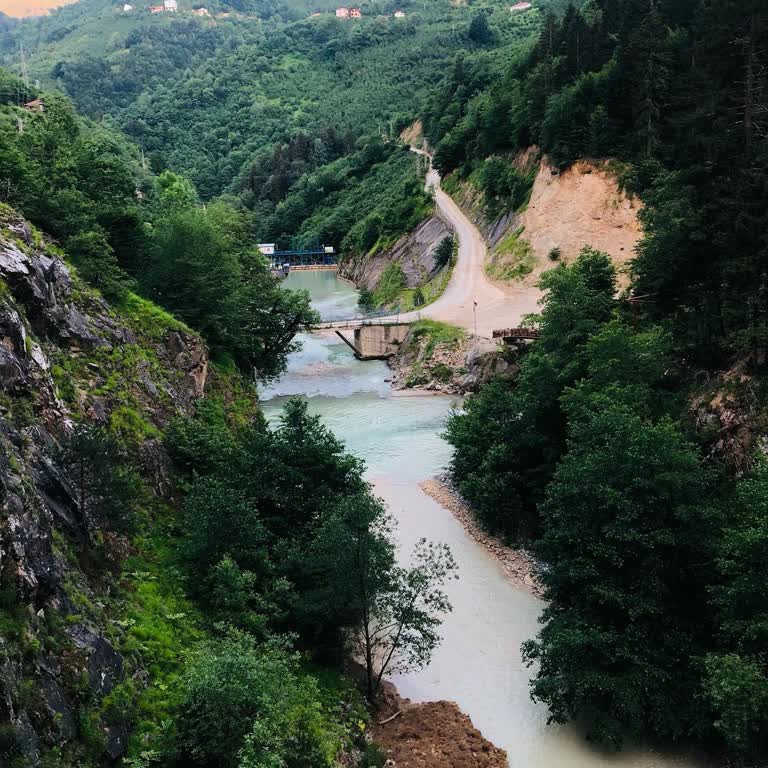 Rehberin Tarafsız Olmayan Anlatımı Ve Uygunsuz Davranışları