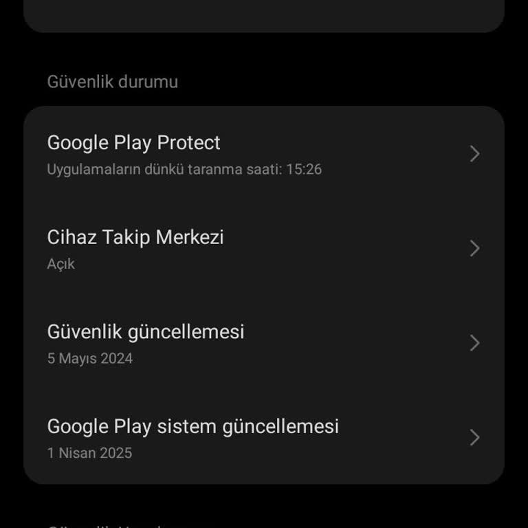 Parmak İzi Kayboldu, Ekran Kendi Kendine İşlem Yapıyor