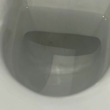 THY'nin Yönlendirdiği Otelde Hijyen Ve Yemek Sorunları Yaşadık