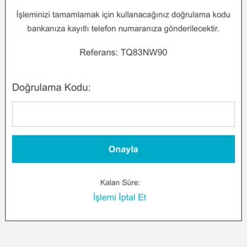 Kredi Kartı Ödememde Güvenlik Endişesi Ve Destek Eksikliği