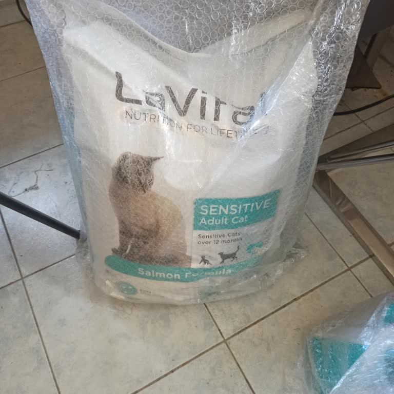 Yeni Aldığım Mamanın Kedilerimde Ciddi Sağlık Sorunlarına Yol Açması