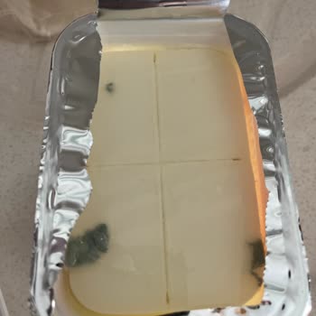 Aldığım Peynir Yine Küflü Çıktı, Sürekli Aynı Sorun!