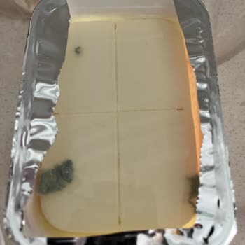 Aldığım Peynir Yine Küflü Çıktı, Sürekli Aynı Sorun!