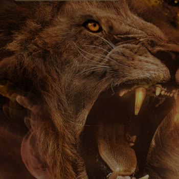 Kart Teslimatı ve İletişim Sorunları Hakkında Şikayet