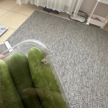 Migros Sanal Markette Bozuk Ürünler Ve Çözümsüz İade Süreci Mağduriyeti