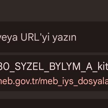 2018 LGS Sözel Soruları Neden Erişilemiyor