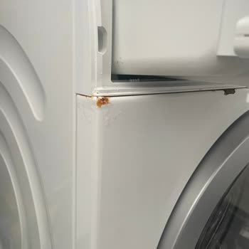 Garanti Kapsamındaki Çamaşır Makinesinde Paslanma Ve Haksız Servis Ücreti Sorunu