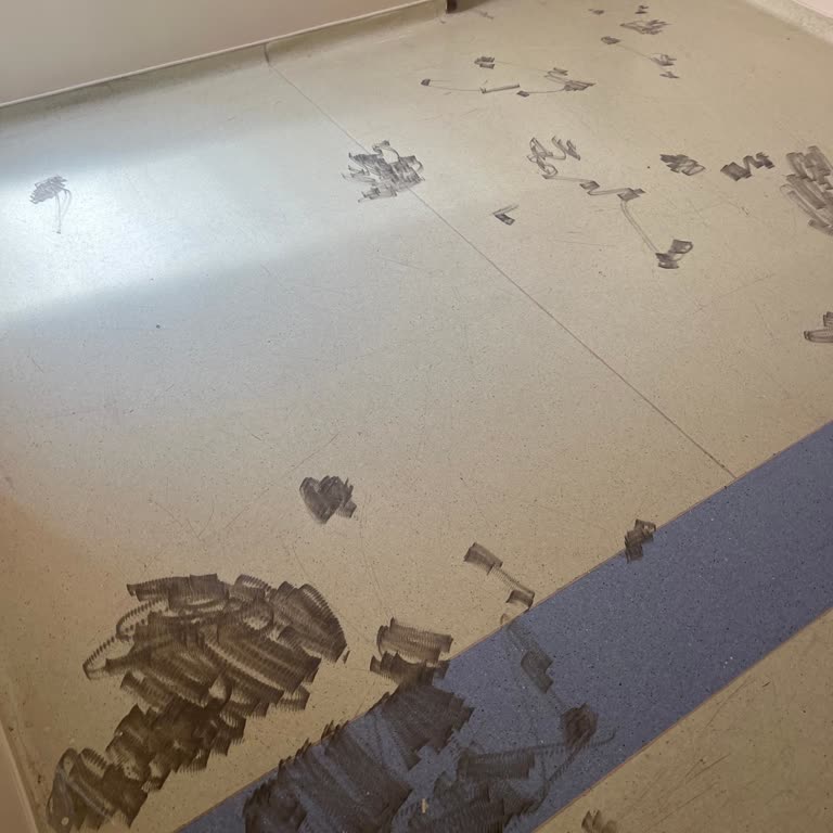 Hastane Temizliği Ve Asansör Hijyeni Büyük Sorun