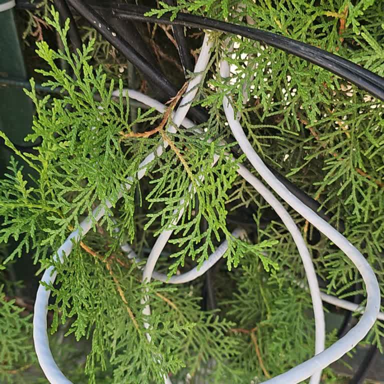 Kablo Net'te İlgisizlik Ve Mağduriyet!