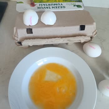 Aldığım Yumurta Bozuk Çıktı, Hayal Kırıklığına Uğradım
