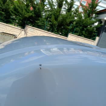 Renault Master Araçlarda Kapı Üstü Göçme Sorunu Ve Servis Cevabı