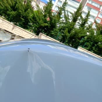 Renault Master Araçlarda Kapı Üstü Göçme Sorunu Ve Servis Cevabı
