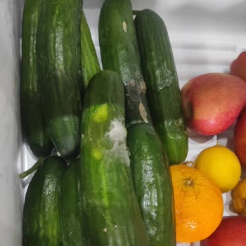 Satın Aldığım Üründe Sürekli Arıza Ve Çözüm Eksikliği