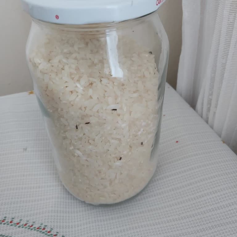 BİM Son Kullanma Tarihi Geçmemiş Pirinçte Böcek Sorunu Güvenimizi Sarstı!