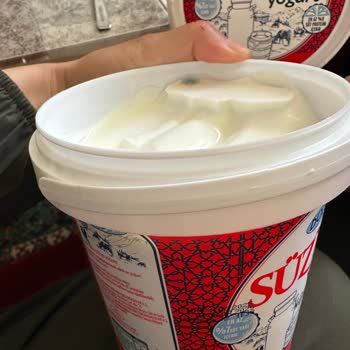 Son Kullanma Tarihi Geçmemiş Yoğurtta Küf Sorunu Ve Hayal Kırıklığı