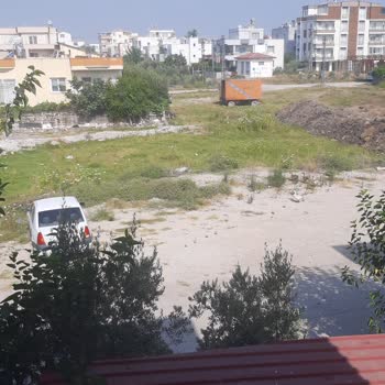 İstiklal Mahallesinde Otlar Yüzünden Yılan Tehlikesi Ve Belediyeden İlgisizlik