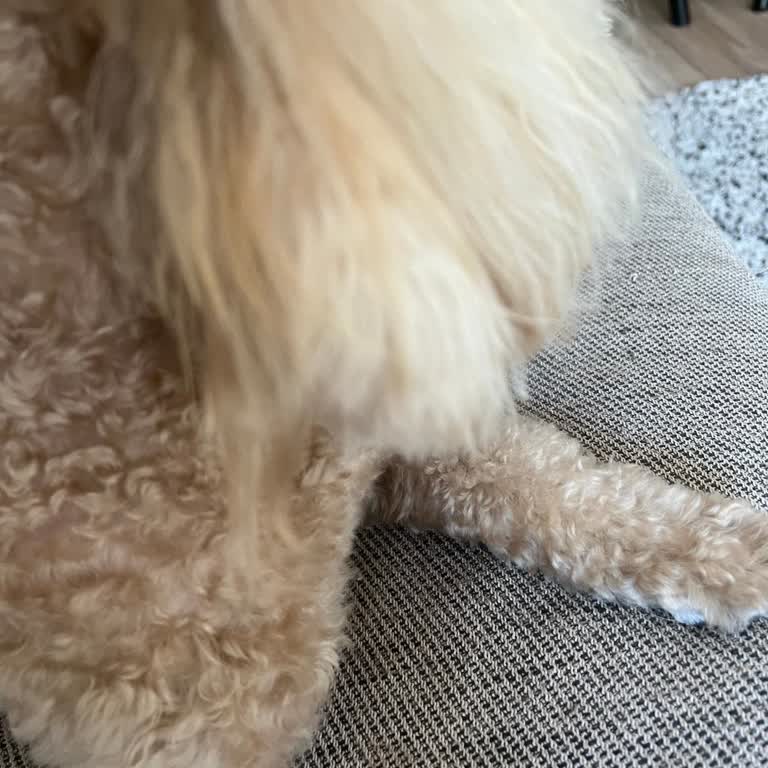 Beklentileri Karşılamayan Kuaför Hizmeti Ve Memnuniyetsizlik