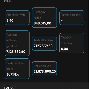Bridgewater Hisse Senedi Yanıltması