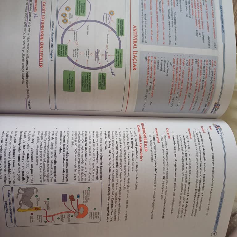 Aldığım Hizmette Yaşadığım Sorunlara Çözüm Bulunmuyor