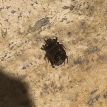 Tatil Deneyimimizde Yaşadığımız Sorunlar Ve Hayal Kırıklığı