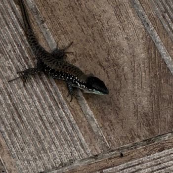 Tatil Deneyimimizde Yaşadığımız Sorunlar Ve Hayal Kırıklığı