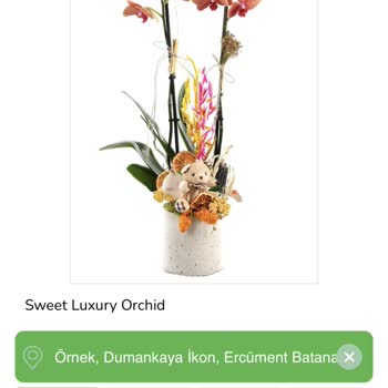 Siparişimdeki Orkide Görselden Farklı Ve Geç Onaylandı