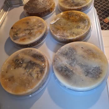 Faturasız Ve Onaysız Bal Satışı Sonrası İade Sorunu Yaşadım