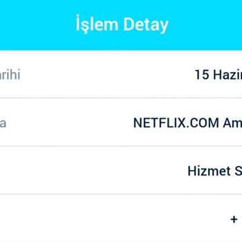 Halkbank Ve Netflix'ten TL İşlemine Ek Komisyon Şoku