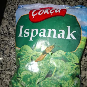 Dondurulmuş Ispanakta Yabancı Madde Çıkması Ve Sağlık Endişesi