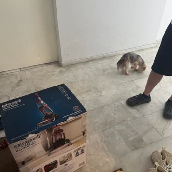 Teslim Edildi Gösterilen Ürünüm Kargo Tarafından Alınıp Gitti, İade Yapamıyorum
