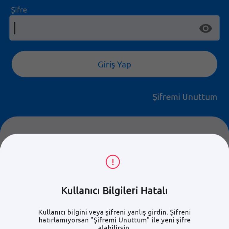 Nkolay Uygulamasına Girişte Şifre Ve Kimlik Doğrulama Sorunu