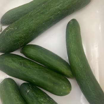 Yeni Alınan Buzdolabında Sürekli Bozulma Ve Servis Sorunu